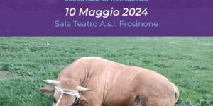 veterinaria